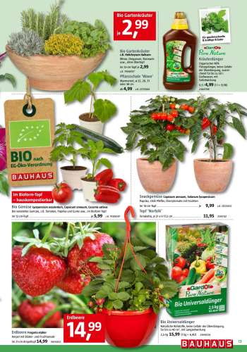 thumbnail - Erdbeerpflanze